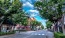 a street with trees on both sides of it