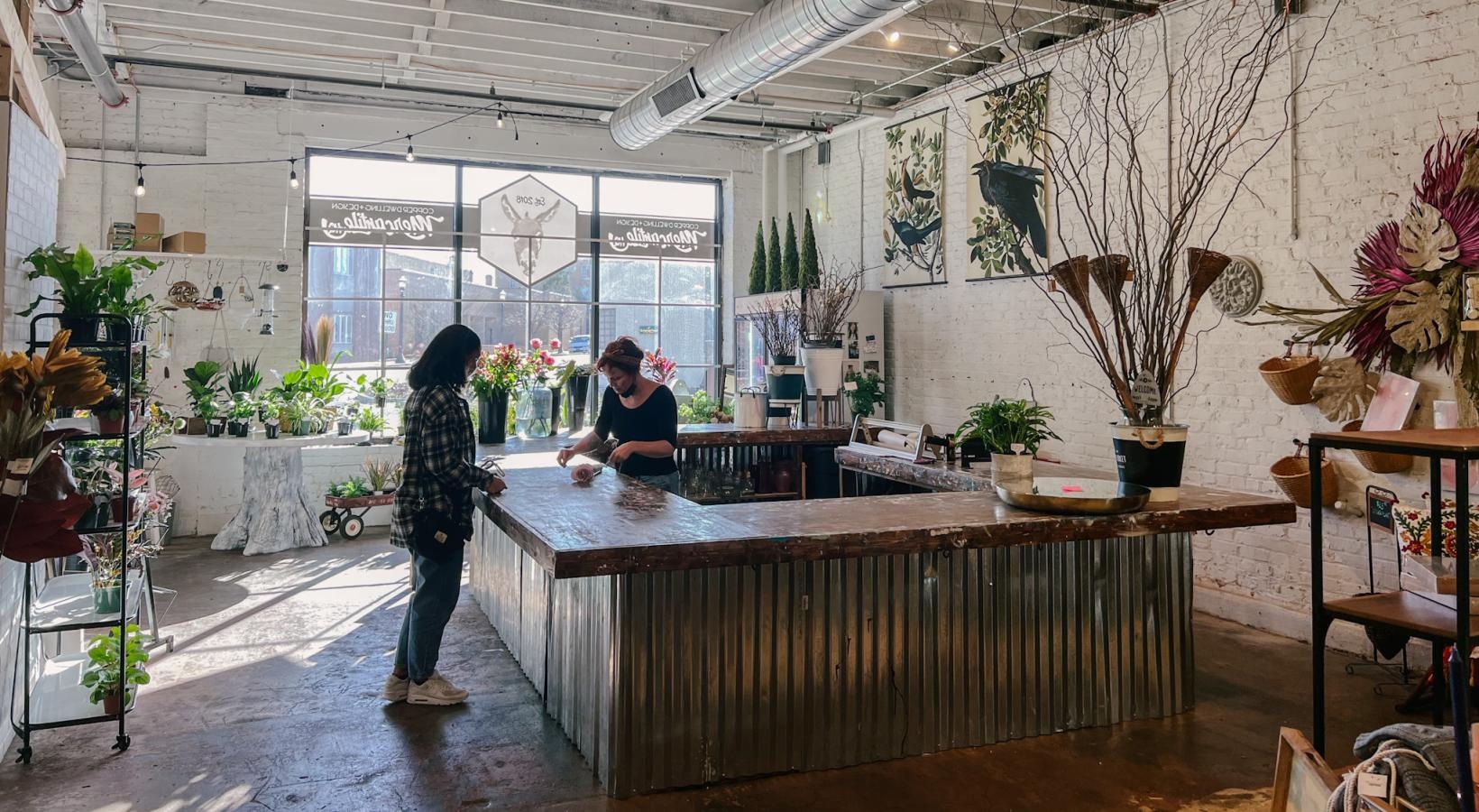 The essence of exceptional living a couple of people in a room with plants and a large window